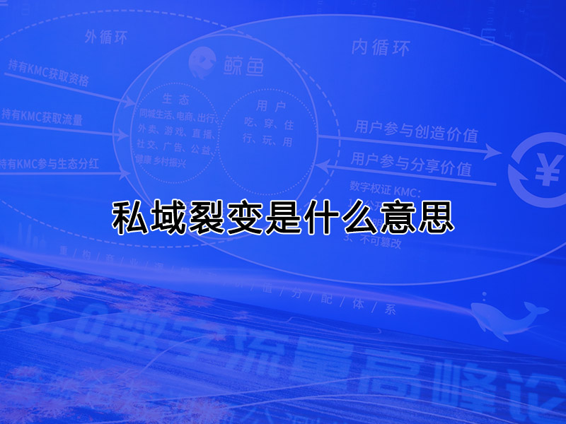 私域裂變是什么意思